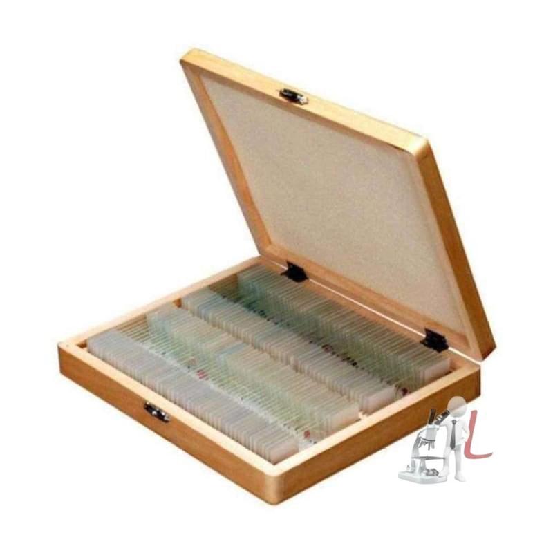 Slide box 100 prepared slides, different slides by labpro