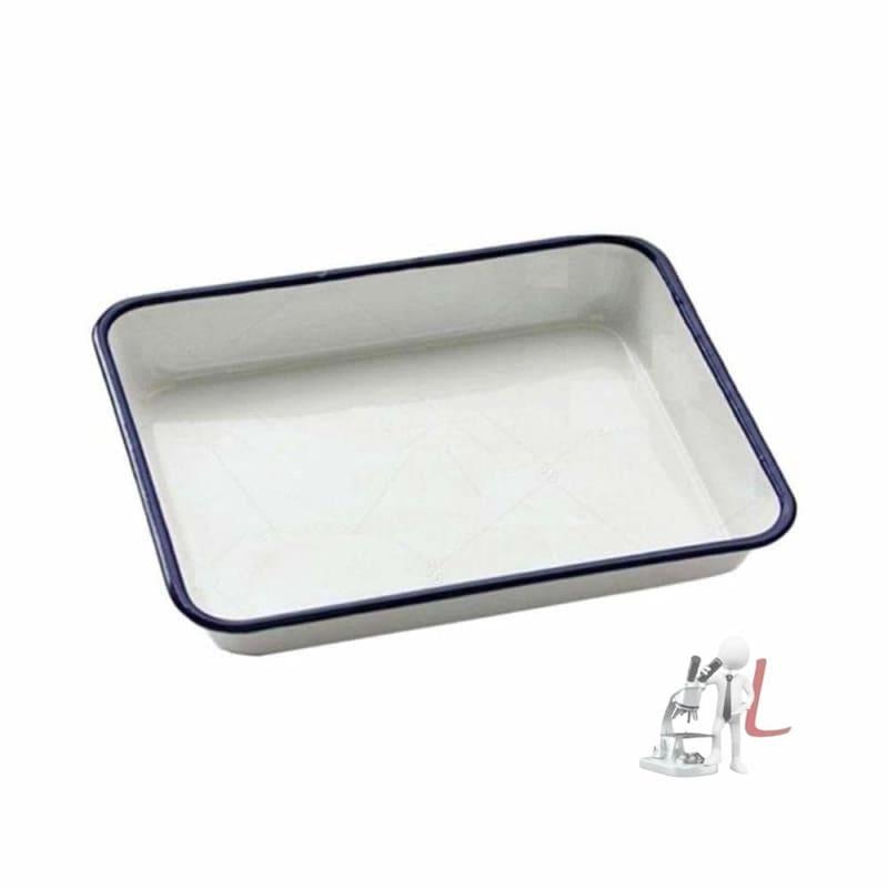 White Enamel Surgical Trays 6x8 inch by labpro